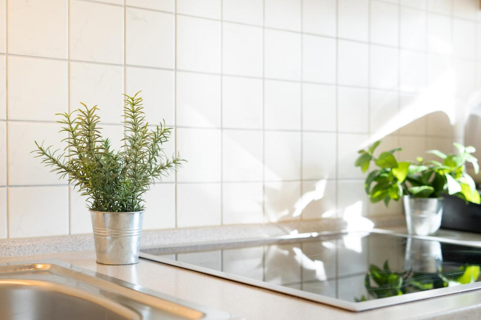 Relax Apartment Бург ауф Фехмарн Екстериор снимка
